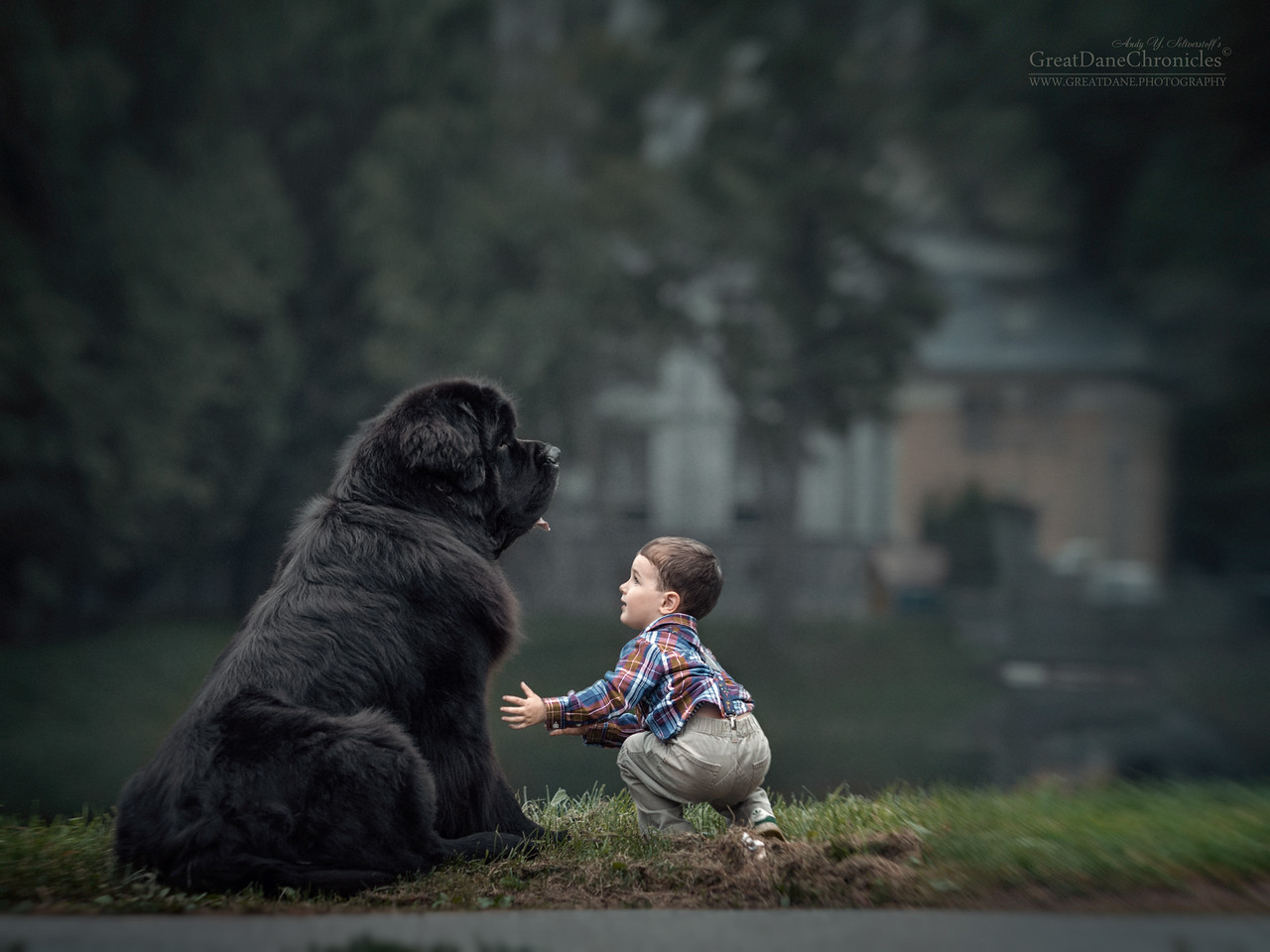 Маленькие дети и их большие собаки фотопроект Андрея Селиверстова